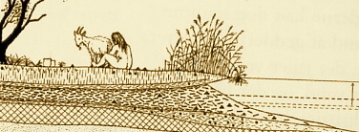 StorelyngVI tegning af B. Brorson Christensen